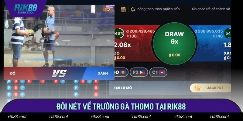 Đôi nét về trường gà Thomo tại Rik88 Đôi nét về trường gà Thomo tại Rik88